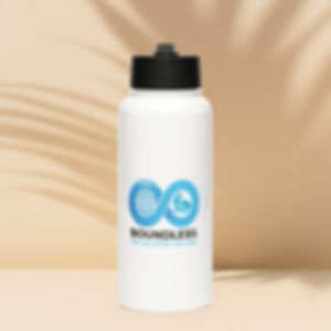 Stainless steel water bottle with a straw lid - Boundless
